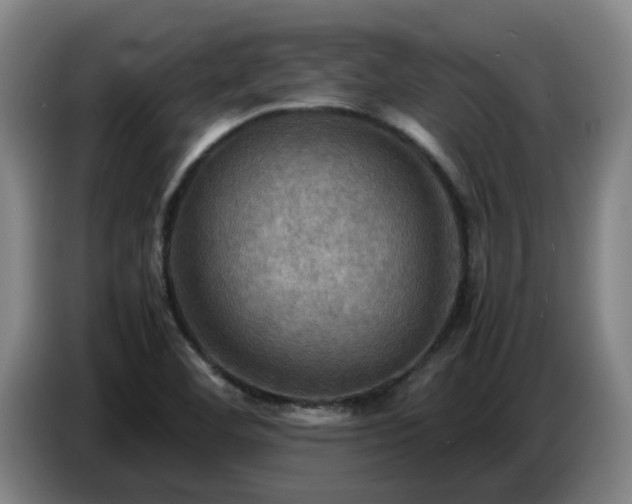 X0000086771460200704201755