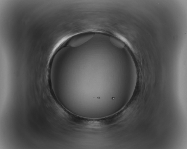 X0000086771463200704201755