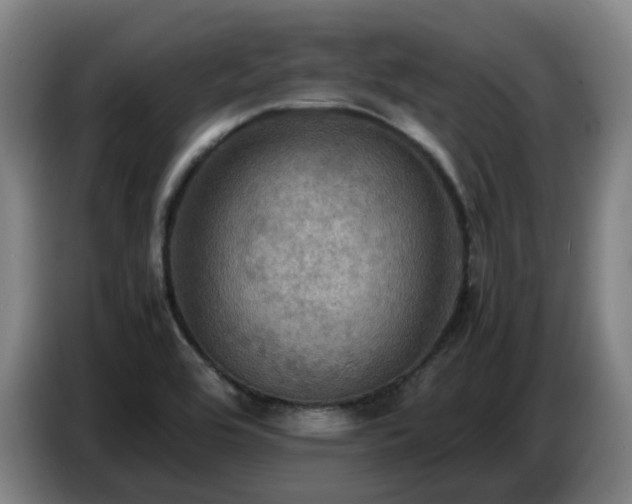 X0000086771464200704201755