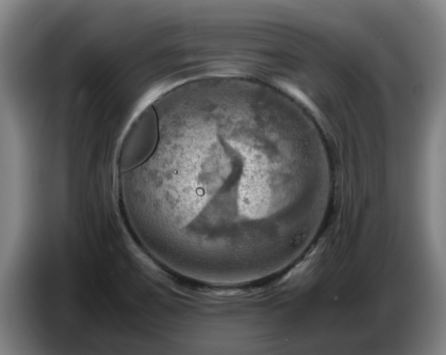 X0000086771467200704201755