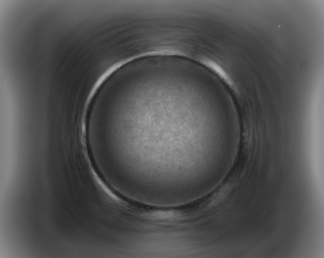 X0000086771468200704201755