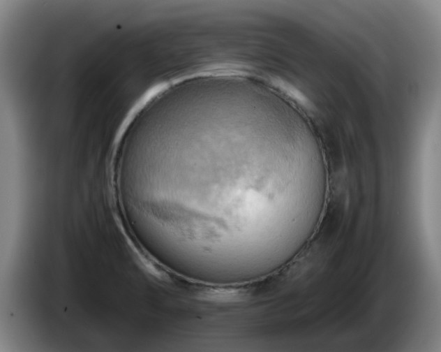 X0000086771470200704201755