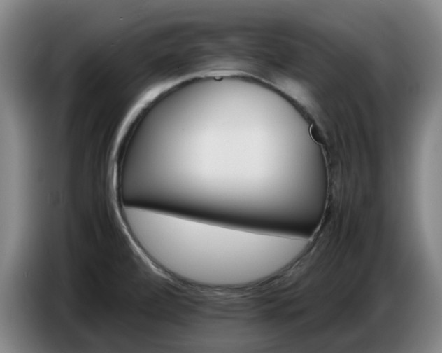 X0000086771472200704201755