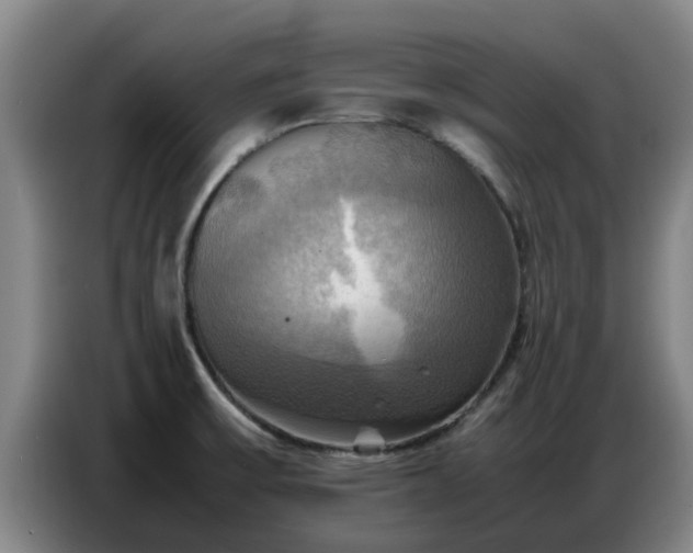 X0000086771475200704201755