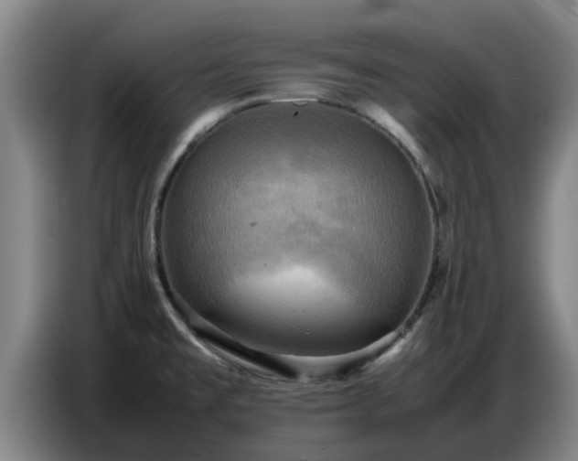 X0000086771477200704201755