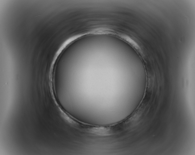 X0000086771478200704201755
