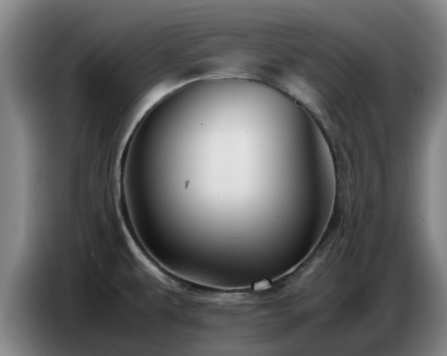 X0000086771479200704201755
