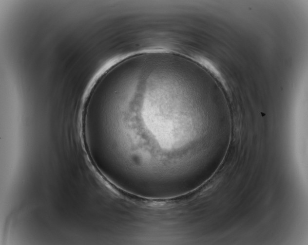 X0000086771480200704201755