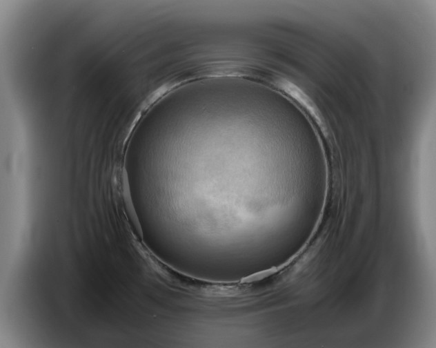 X0000086771481200704201755