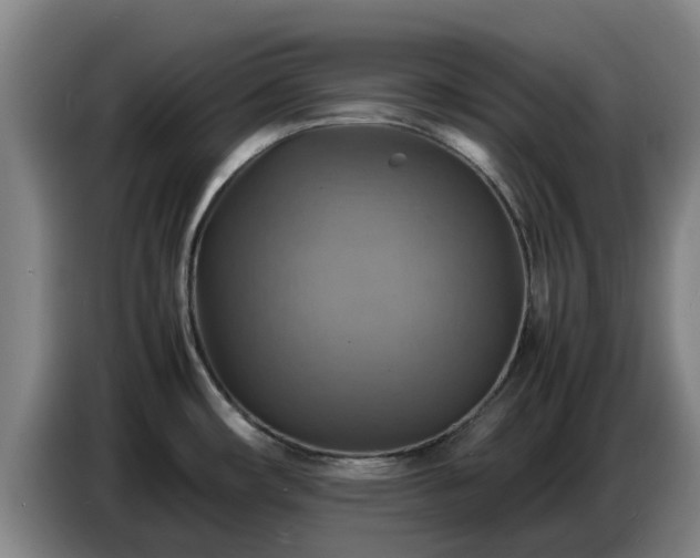 X0000086771482200704201755