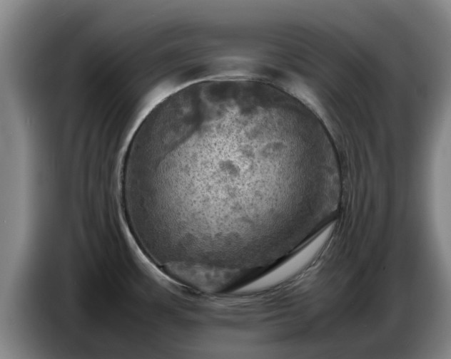 X0000086771483200704201755
