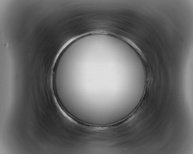 X0000086771484200704201755