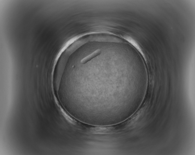 X0000086771485200704201755