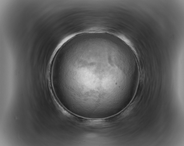 X0000086771486200704201755