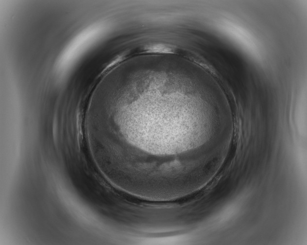 X0000086771487200704201755