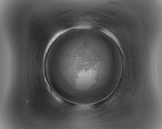 X0000086771488200704201755