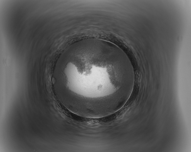 X0000086771489200704201754
