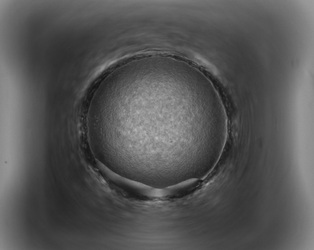 X0000086771496200704201754