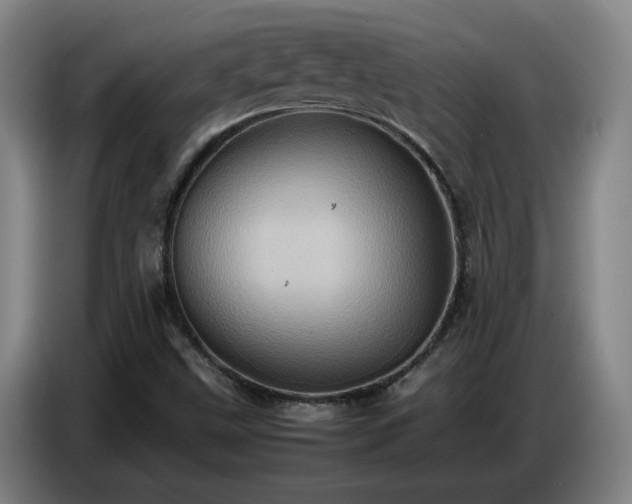 X0000086771499200704201754