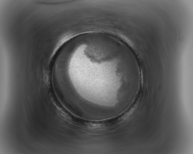 X0000086771501200704201754