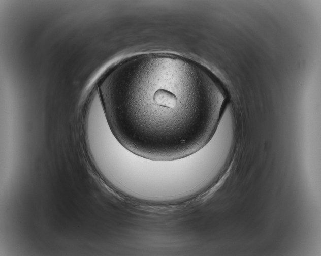 X0000086771502200704201754