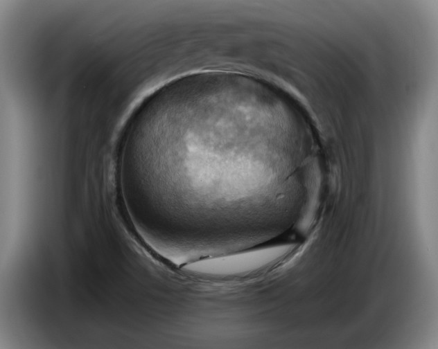 X0000086771506200704201754