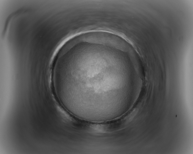 X0000086771511200704201754