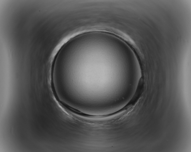X0000086771512200704201754