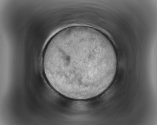X0000086771514200704201754