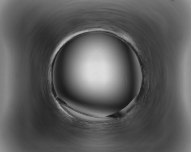 X0000086771516200704201754