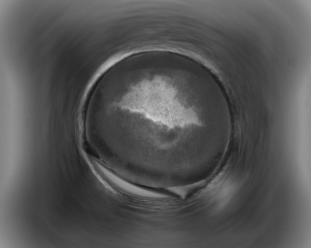 X0000086771517200704201754
