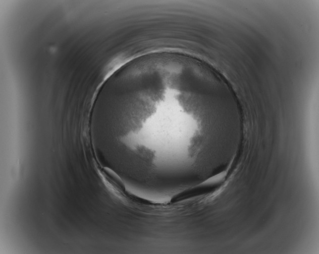 X0000086771521200704201754