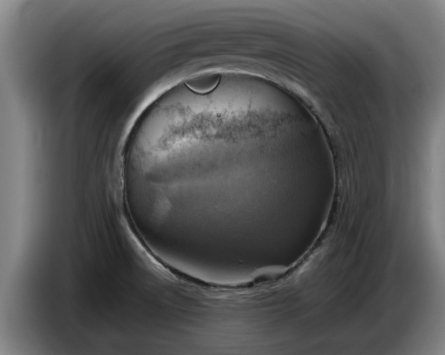 X0000086771522200704201754