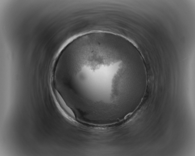 X0000086771523200704201754