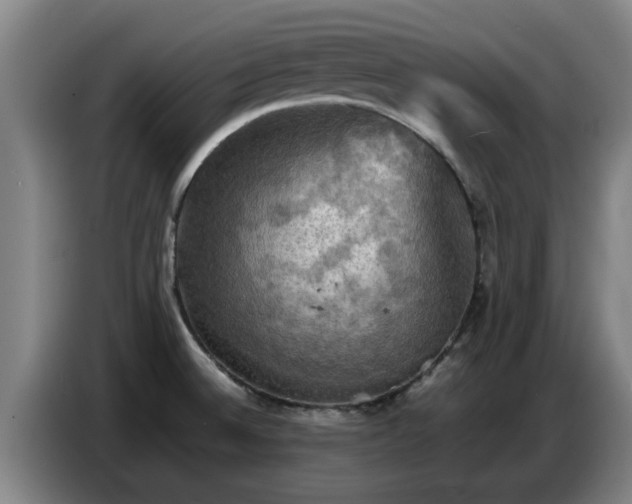 X0000086771524200704201755