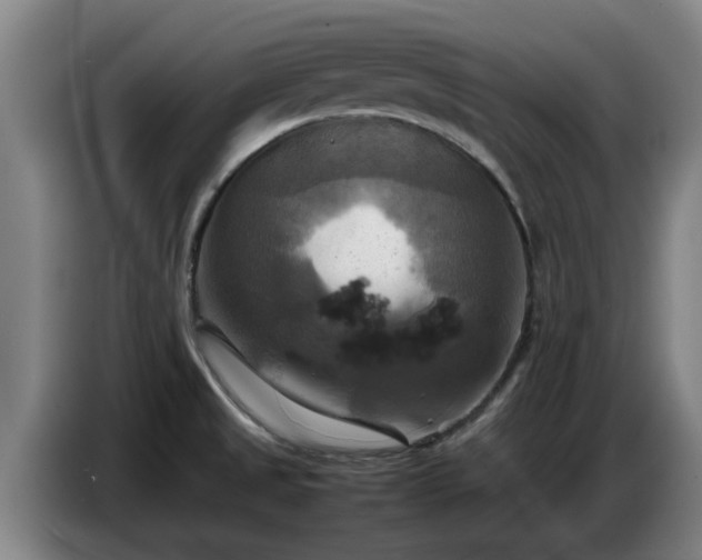 X0000086771525200704201755
