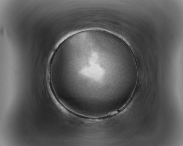 X0000086771526200704201755