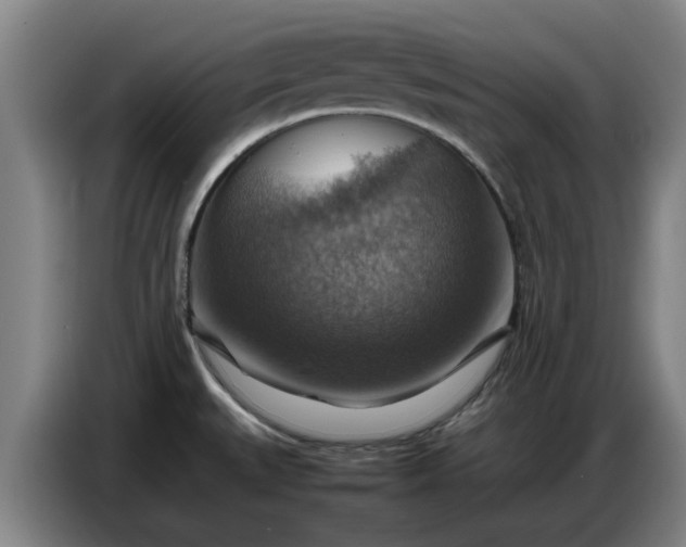 X0000086771527200704201755