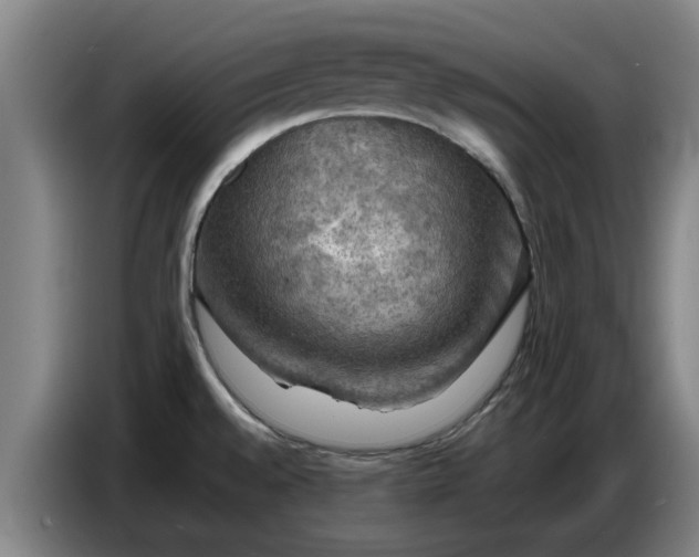 X0000086771528200704201755