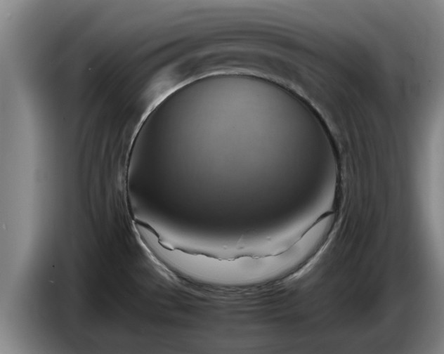 X0000086771529200704201755