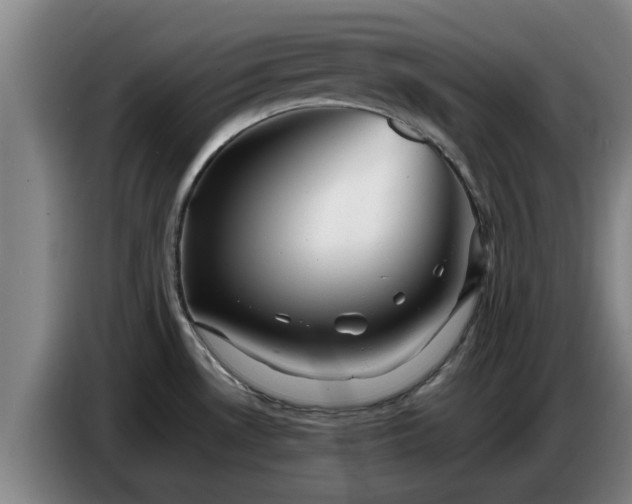 X0000086771530200704201755