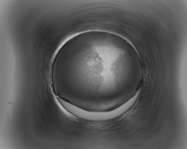 X0000086771531200704201755