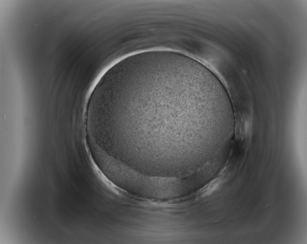 X0000086771532200704201755