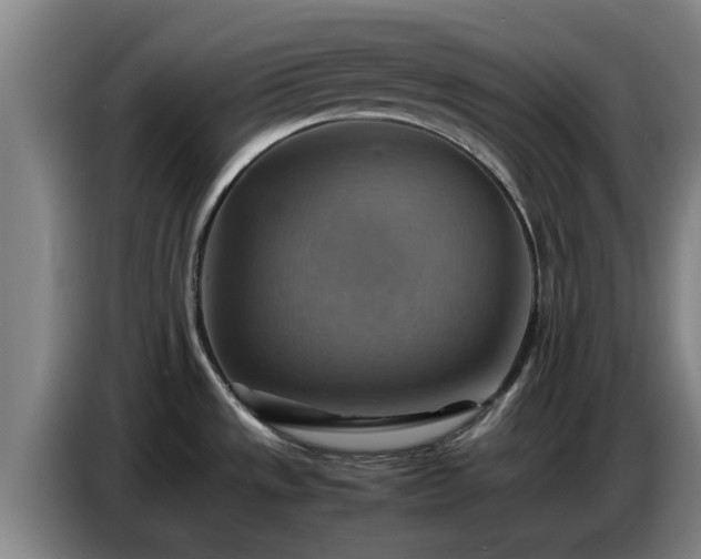X0000086771533200704201755