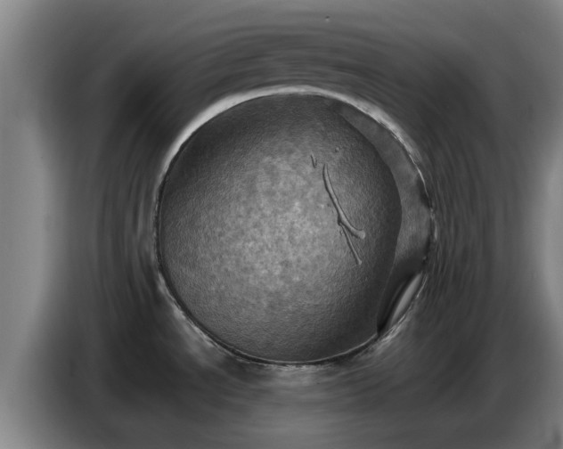X0000086771534200704201755