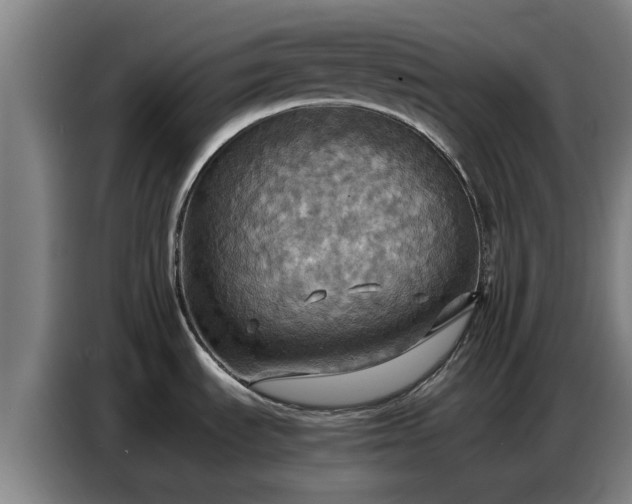 X0000086771535200704201755