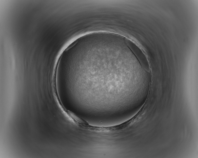 X0000086771536200704201755