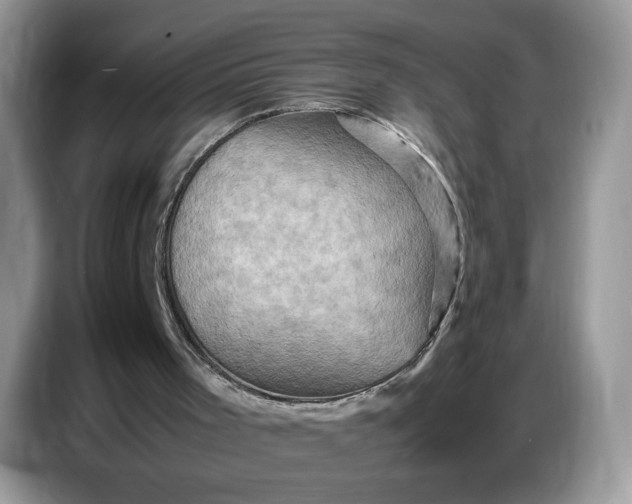 X0000086770001200704271759