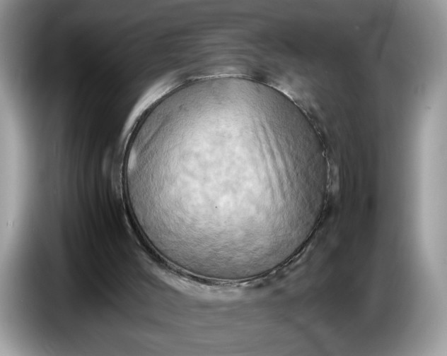 X0000086770004200704271759