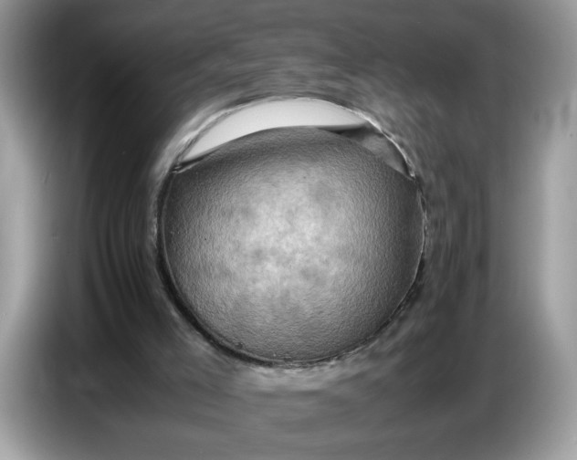 X0000086770005200704271759